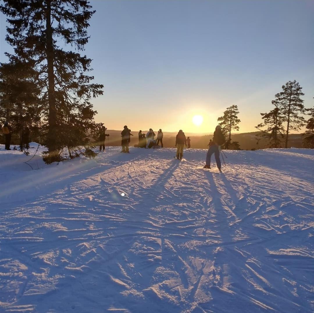 Lodge Myntloftet Med Inglasad Bubbelbad Borlange